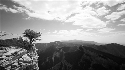 《贺兰山》：讲述当代宁夏的故事