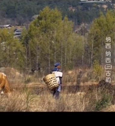 《纳西纳西》第三集：古韵
